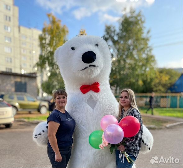 Поздравление от белого мишки