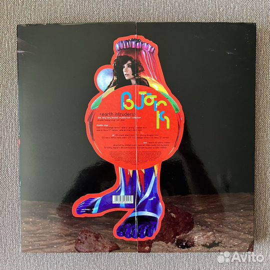 Bjork - Earth Intruders (Боксет)