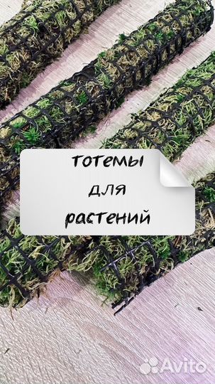 Тотем для растений из мха