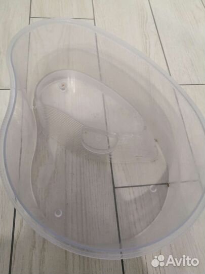 Аквариум с красноухами черепахами