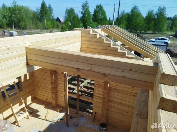 Профбрус в чашу