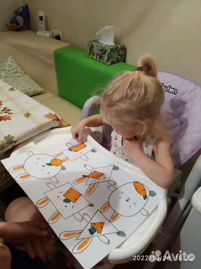 Педагог раннего и дошкольного развития