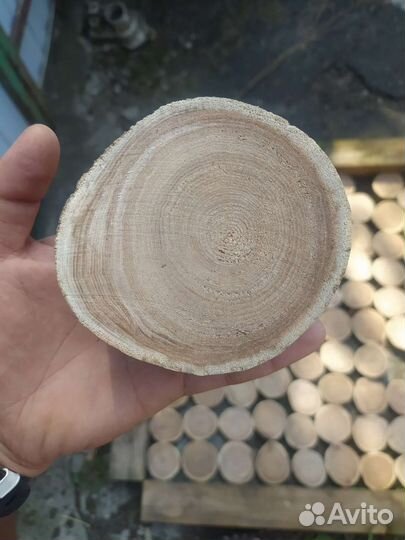 Спилы дерева