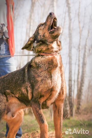 Отличный мальчик ждёт свою семью