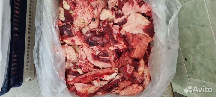 Мясо для животных