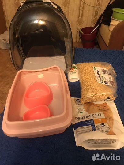 Переноска для кошек большая и латок с мисками