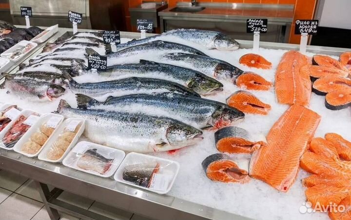 Продам прибыльный магазин рыбы и морепродуктов