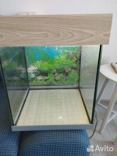Аквариум