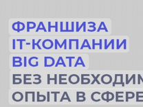 Франшиза it Big Data