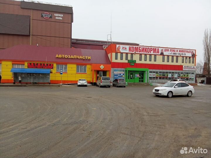 Горох желтый кормовой