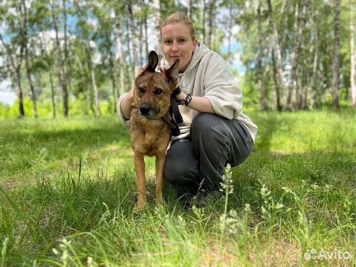 Никто не приходит