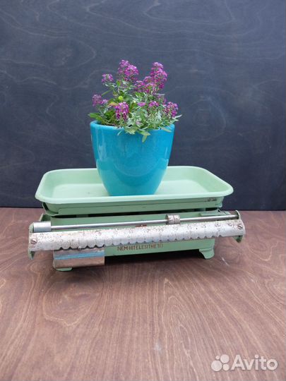 Весы настольные бытовые Венгрия NEM hitelesithetö