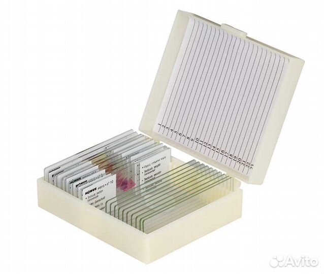 Микропрепараты для микроскопа 