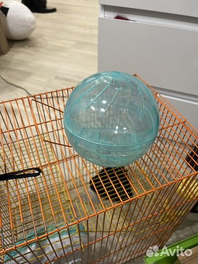 Шарик для хомяка