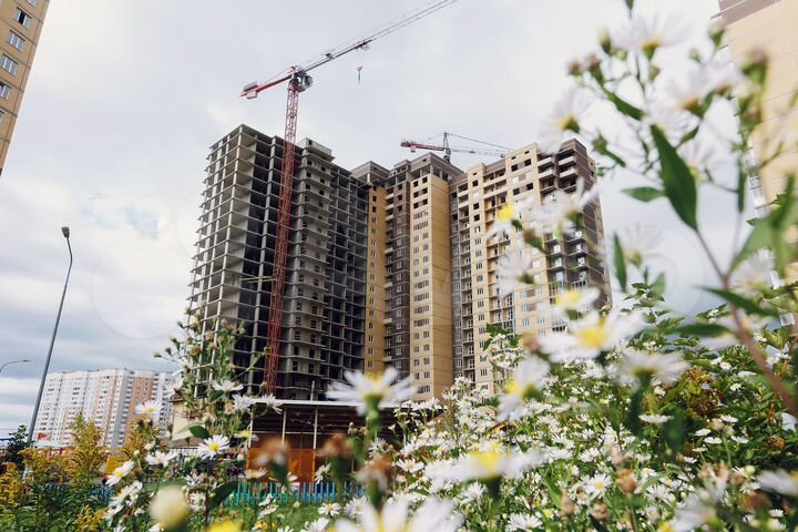 Квартира-студия, 22,7 м², 8/22 эт.