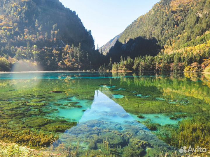 Go в China от 6 дней