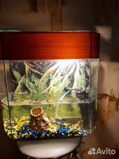 Аквариум