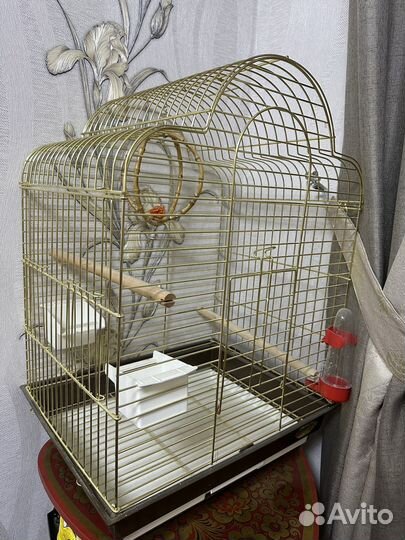 Клетка для попугая