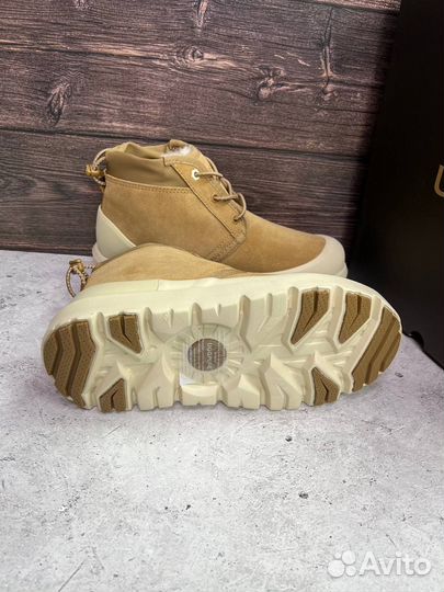 Угги мужские Ugg