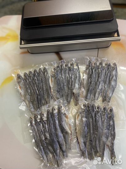 Северная рыба