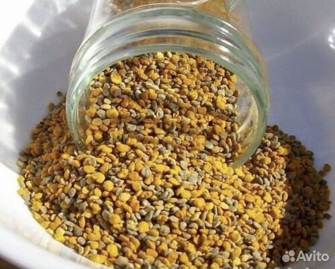 Пыльца пчелиная