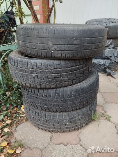 Accelera Sigma 16.5/7 R14