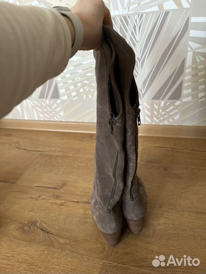 Сапоги ботфорты женские 38