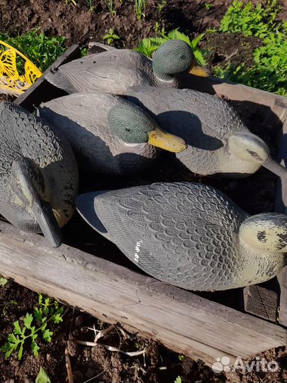 Чучела уток для охоты бу