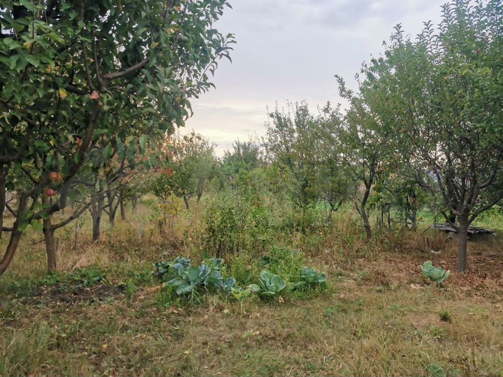 Участок 15 сот. (ИЖС)