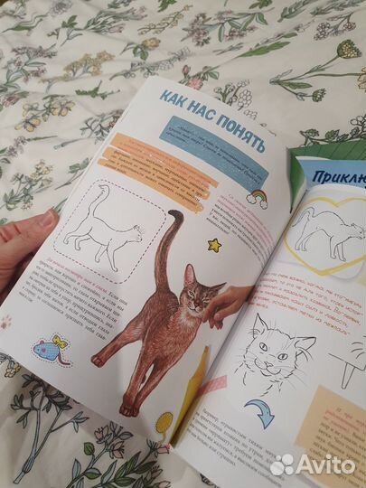 Книги Кошачье детективное агентство