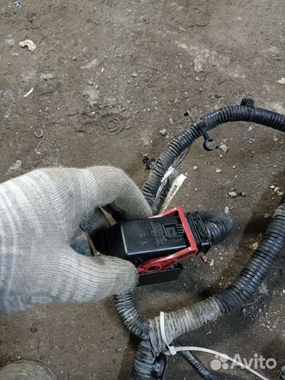 Проводка двигателя форд фокус 3 1.6 125 лс робот