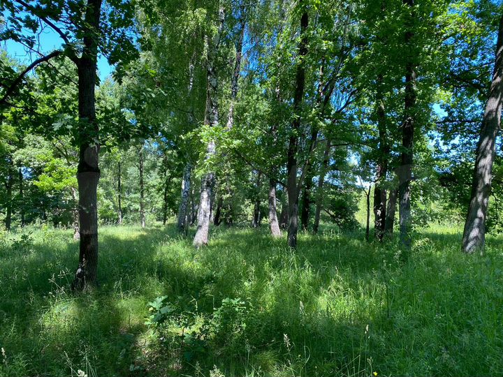 Участок 18 сот. (СНТ, ДНП)