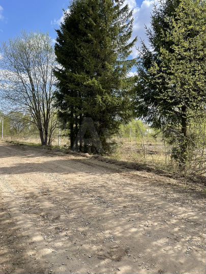 Участок 60 сот. (ИЖС)