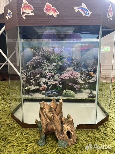 Аквариум 20-25л