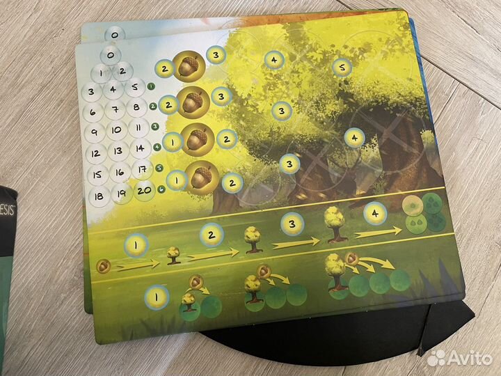 Фотосинтез/Photosynthesis