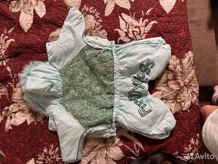 Одежда для собак мелких пород