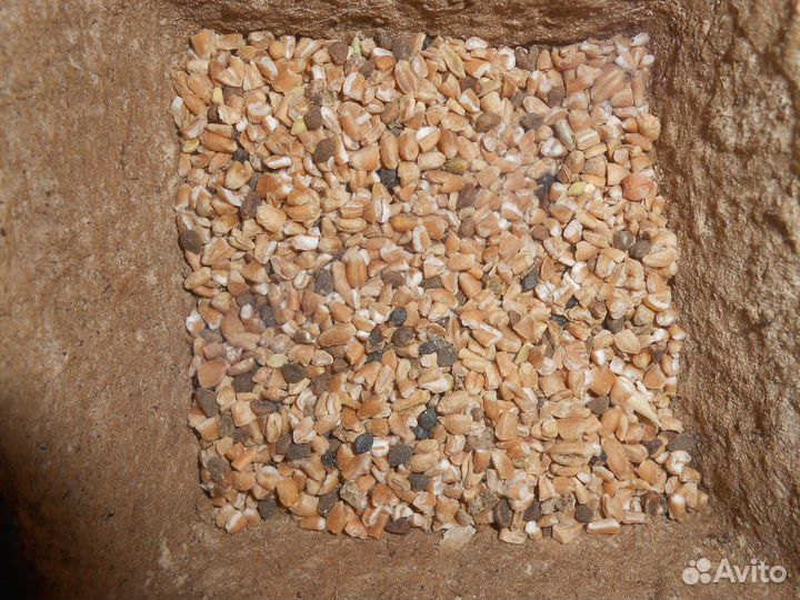 Комбикорм,зерносмеси,дробленка,кукуруза