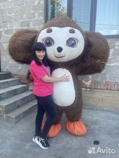 Поздравление от Ушастика