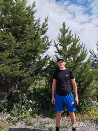 Сварочные работы