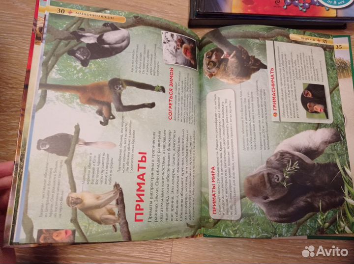 Детская энциклопедия про животных