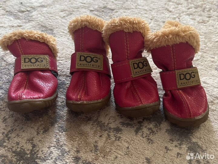 Сапожки для собаки