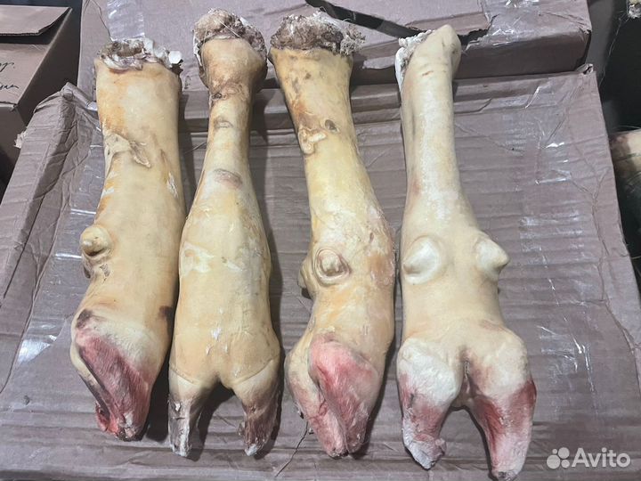 Ноги говяжьи, мясо, говядина