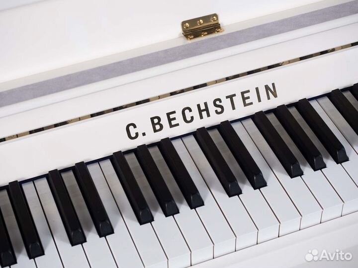 Пианино C. Bechstein Millenium 116K