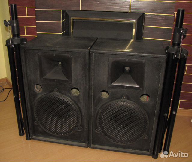 Колонки Frank Audio 1000W Pro D12