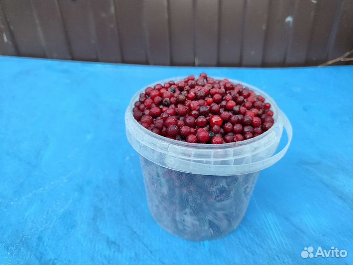 Ягоды оптом и в розницу
