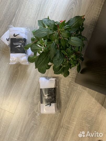 Носки nike everyday