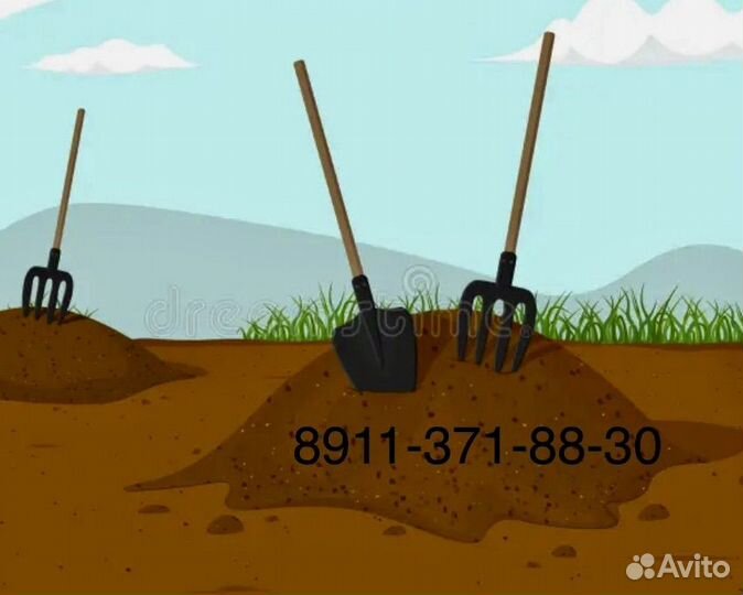 Навоз коровий