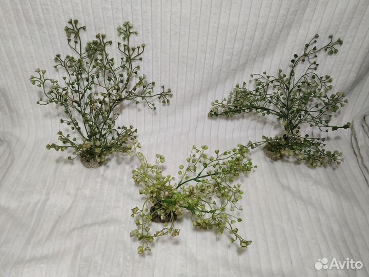 Золотая рыбка ранчу, грот, иск. растения