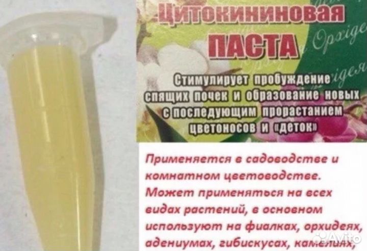 Цитокининовая паста