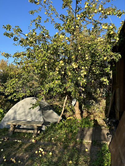 Дом 40 м² на участке 3,1 сот.